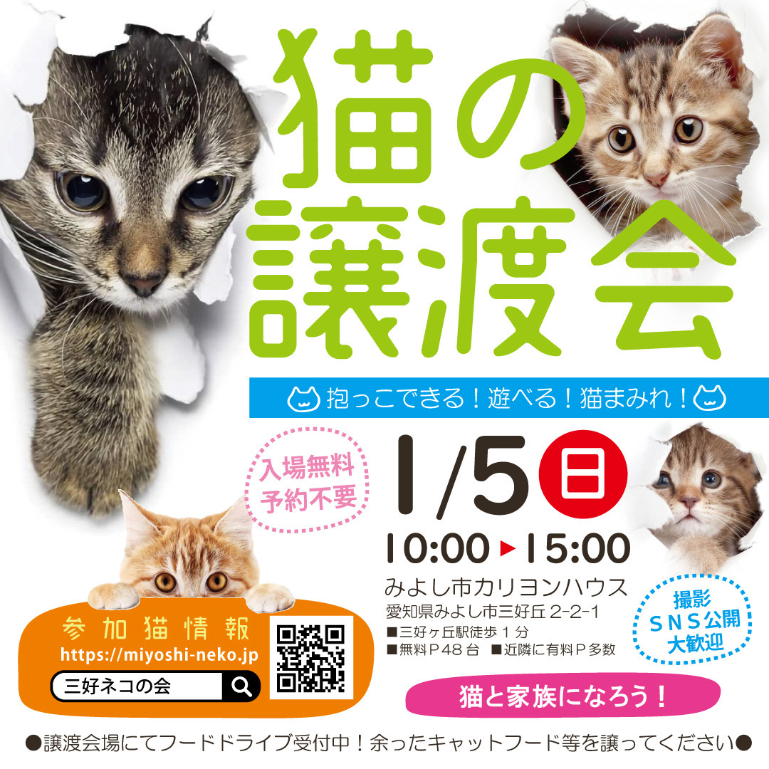 子猫多め31匹参加☆みよし市: NPO法人三好ネコの会公式ブログ 子猫多め31匹参加☆みよし市: NPO法人三好ネコの会公式ブログ