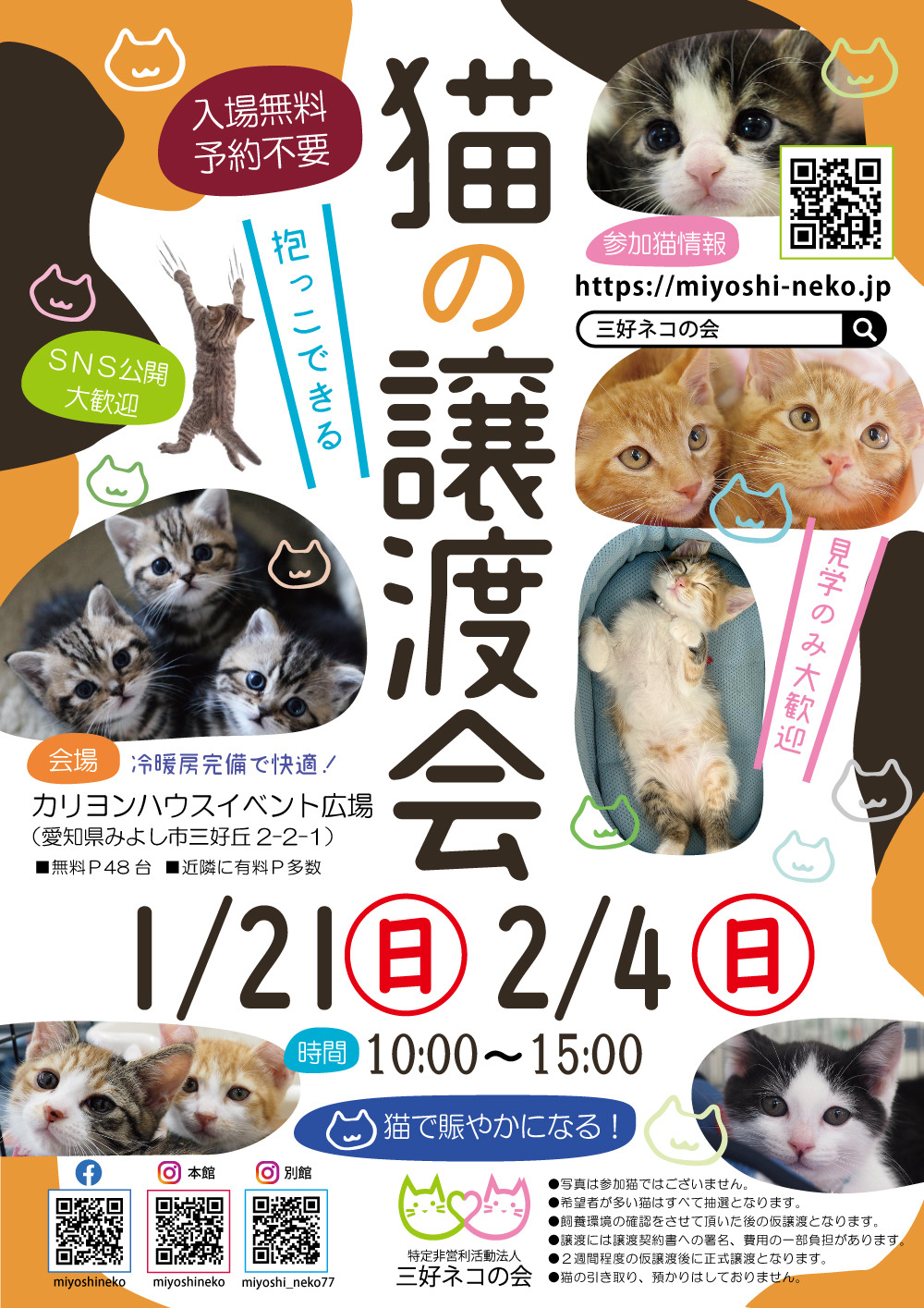 子猫います！子猫中猫20匹～25匹♪みよし市: NPO法人三好ネコの会公式ブログ