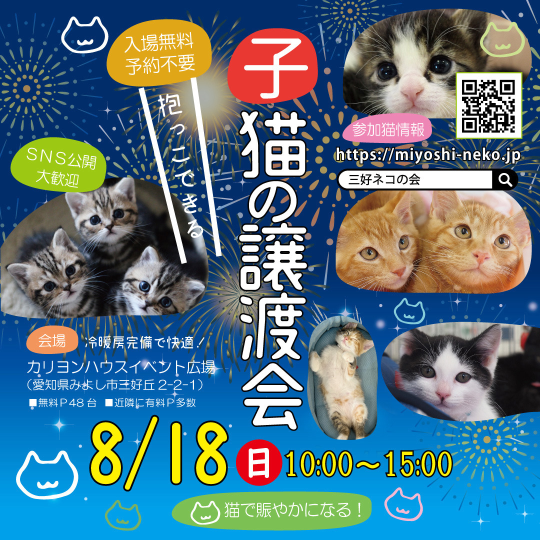 子猫30匹☆エアコンで涼しい屋内会場/愛知県みよし市: NPO法人三好ネコの会公式ブログ