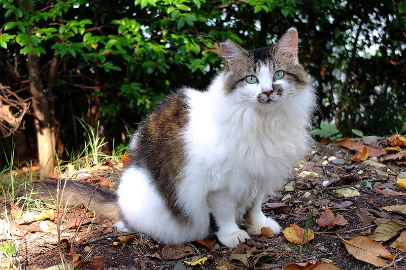 20130923-002.jpg