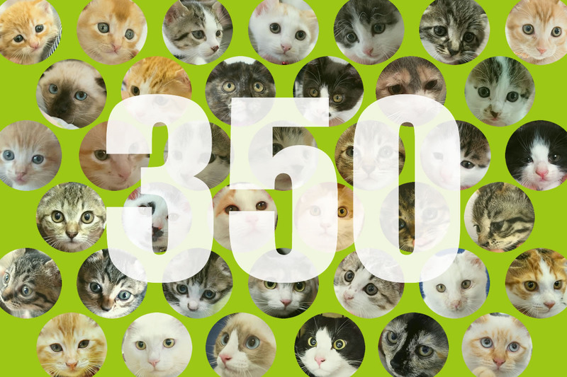350.jpg