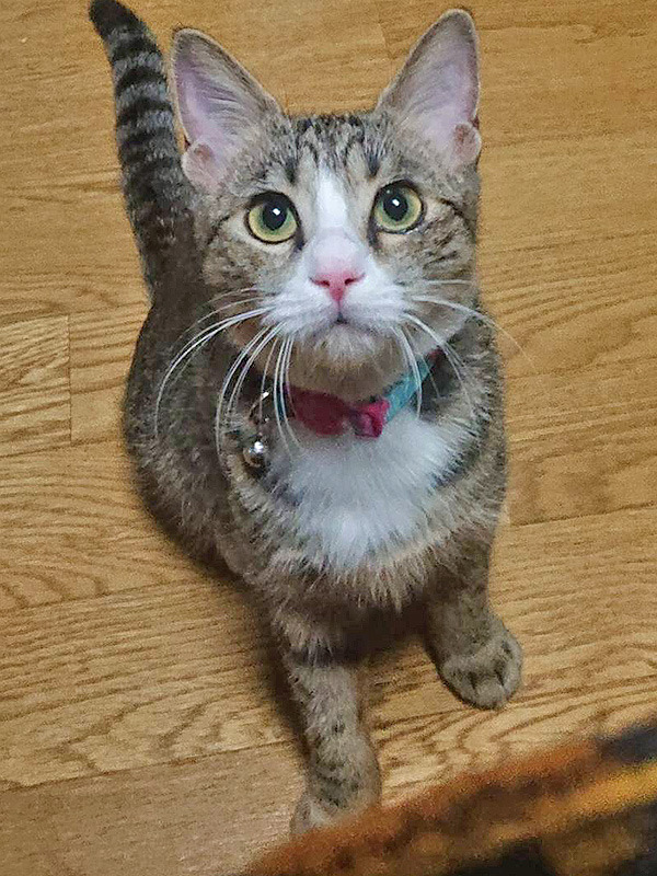 みやび.jpg