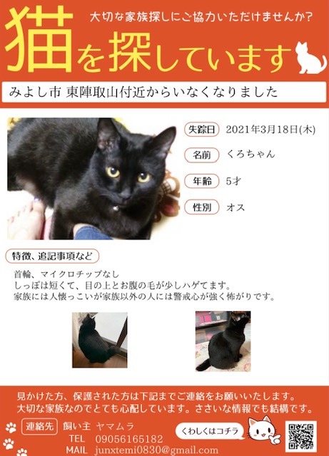 猫探しにご協力をお願いします。: NPO法人三好ネコの会公式ブログ