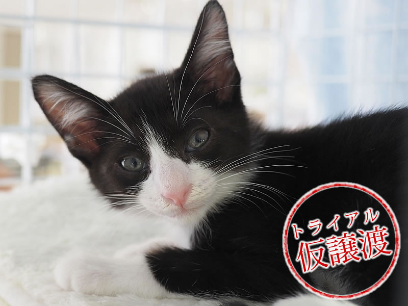 maru2.jpg