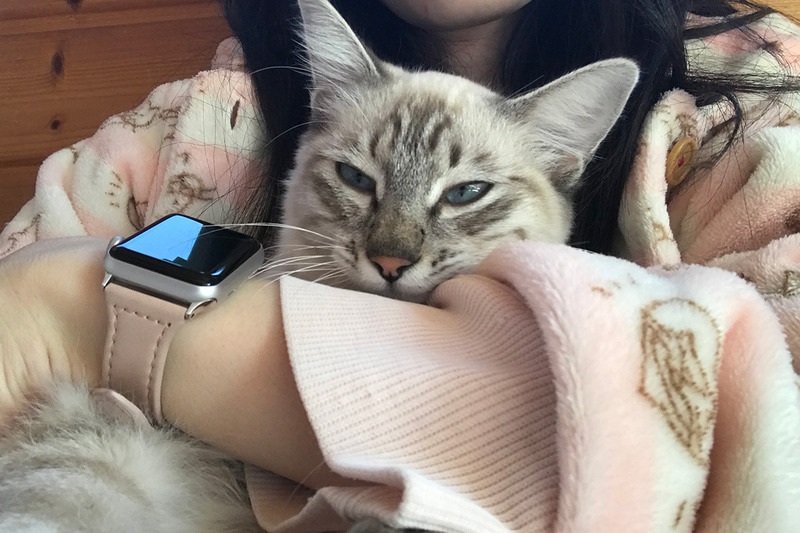 nyao1.jpg