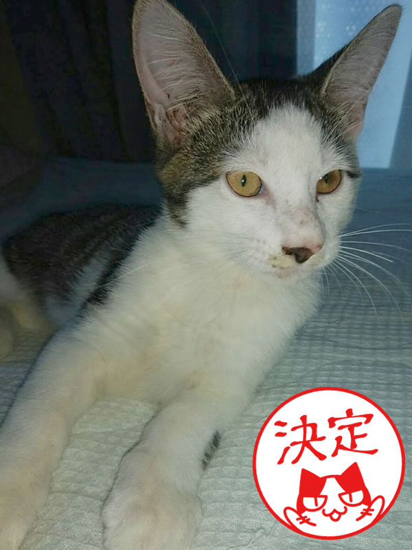 wasao.jpg